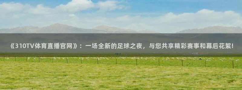 《310TV体育直播官网》：一场全新的足球之夜，与您共享精彩赛事和幕后花絮!