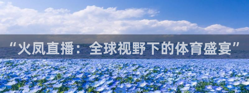 “火凤直播：全球视野下的体育盛宴”